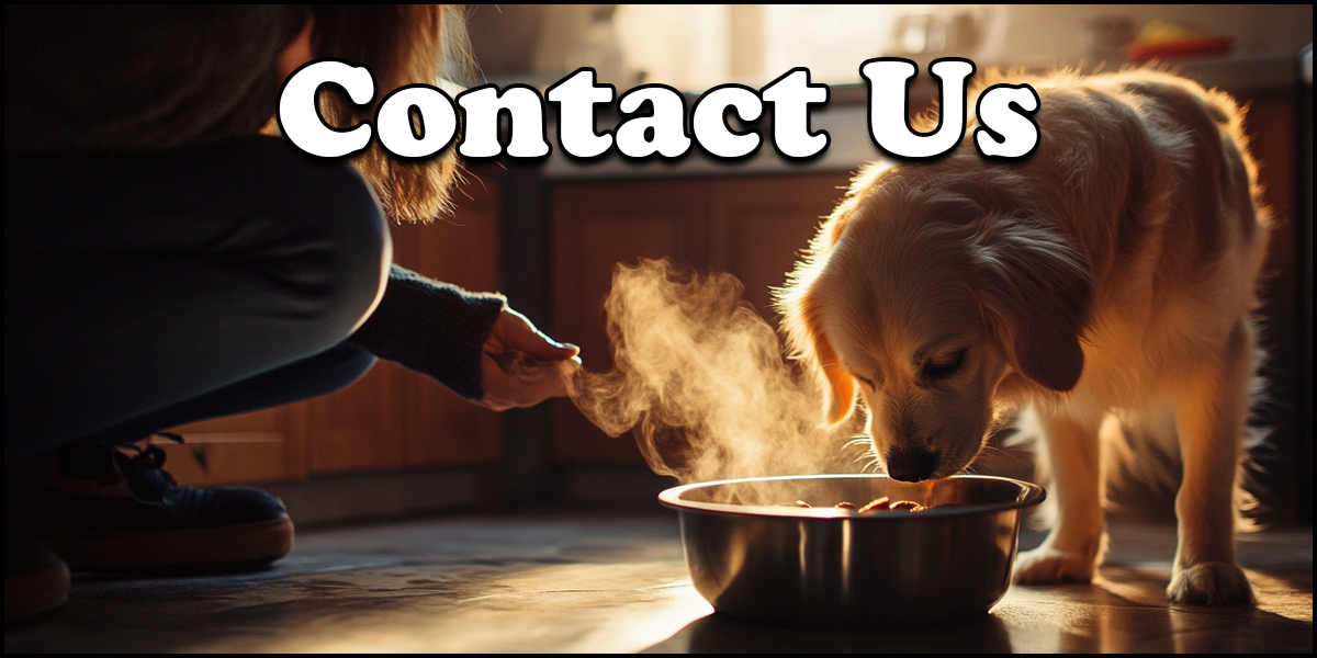 A person offers a steaming bowl of food to a golden dog in a kitchen, with large text reading "Contact Us" above them.