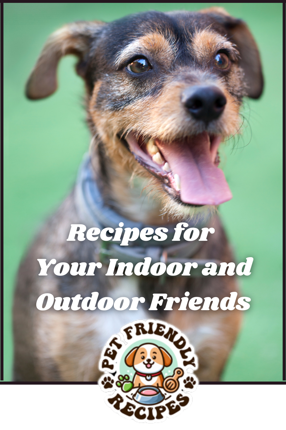 A happy dog with its mouth open sits in front of a green background. Text reads, "Recipes for Your Indoor and Outdoor Friends," highlighting delicious Pet Friendly Recipes. The "Pet Friendly Recipes" logo appears at the bottom.